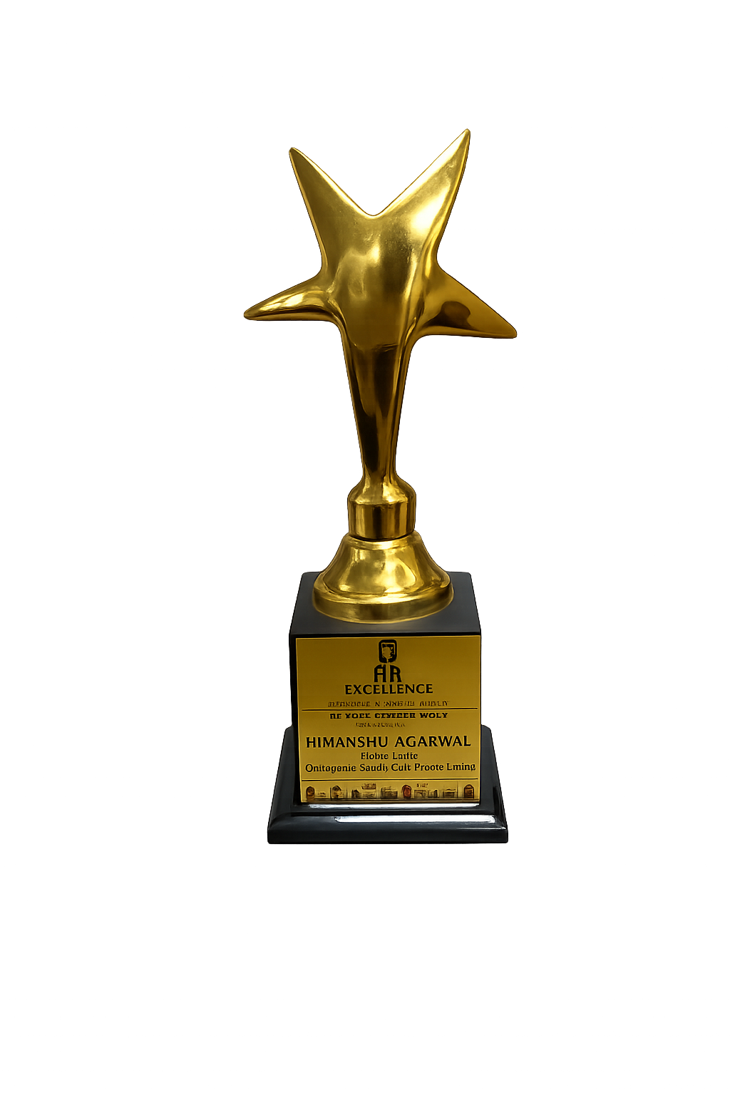 HR Excellence Award at the North Indian Stars Award Ceremony icon